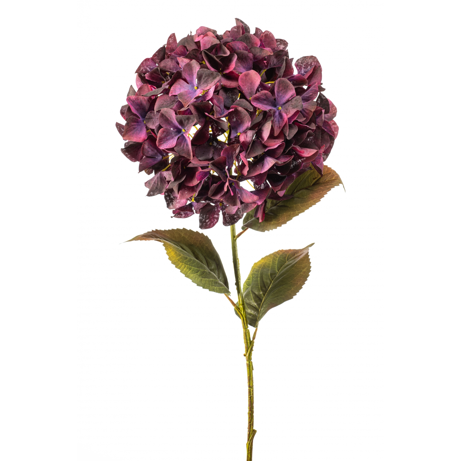 Woonexpress Hydrangea