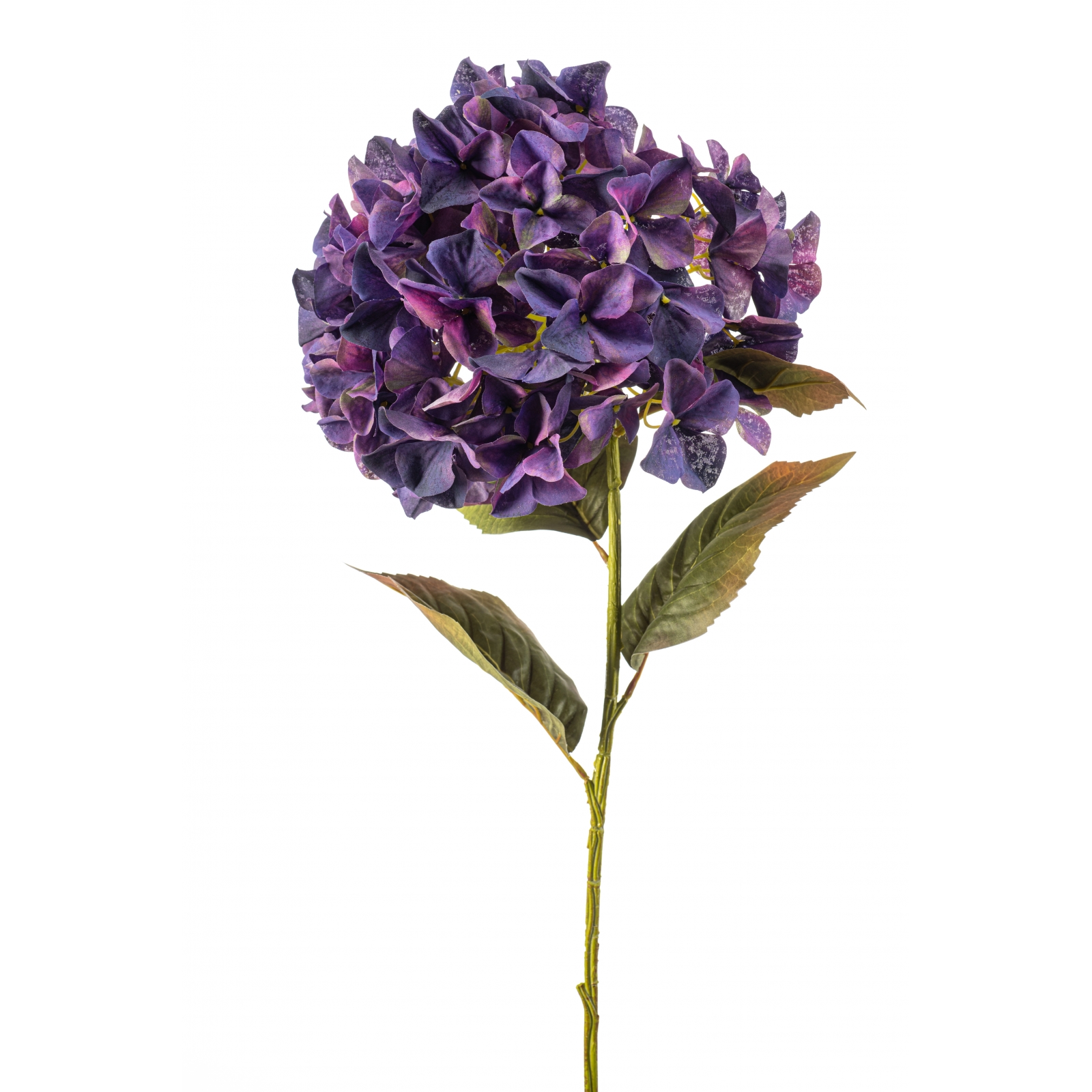 Woonexpress Hydrangea