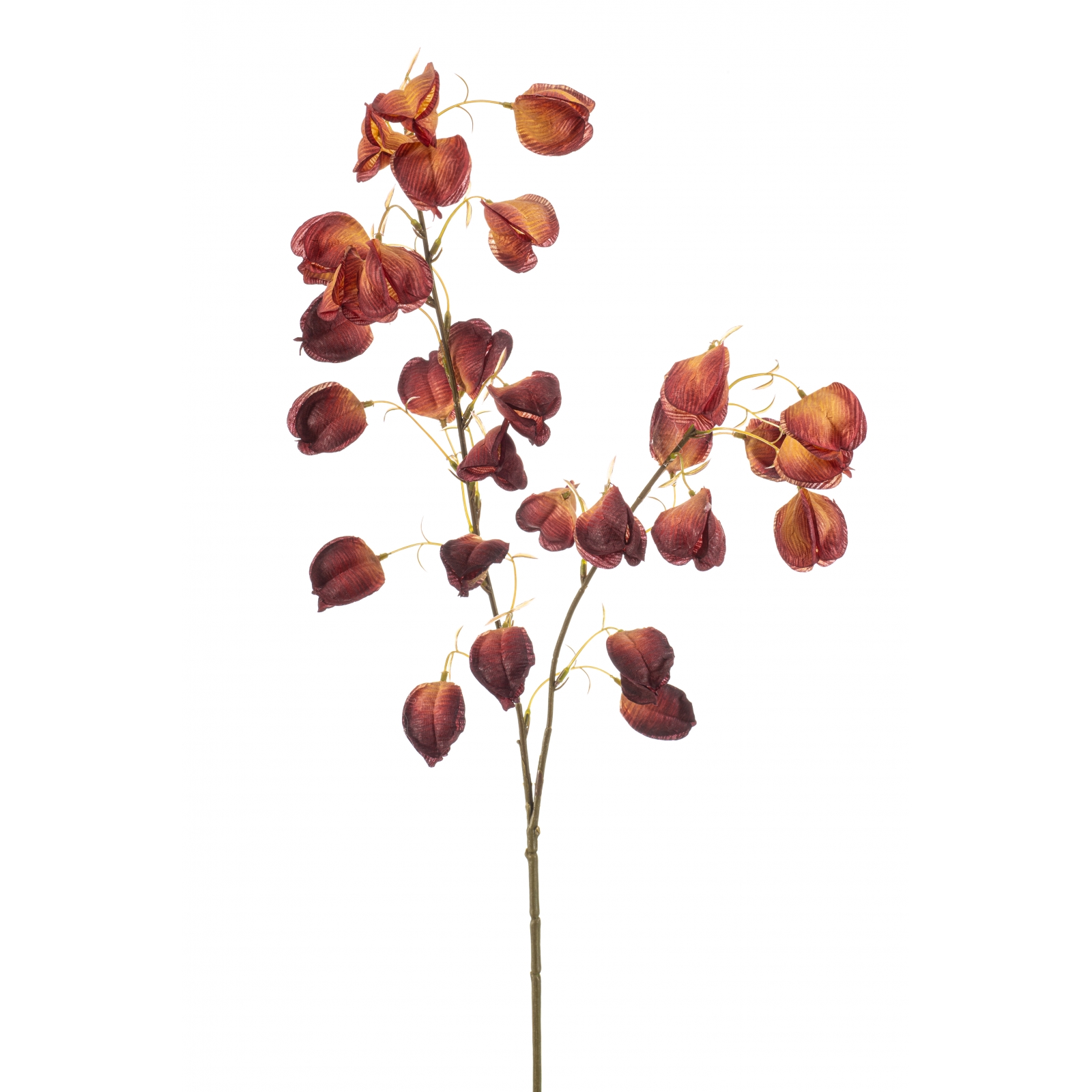 Woonexpress Physalis