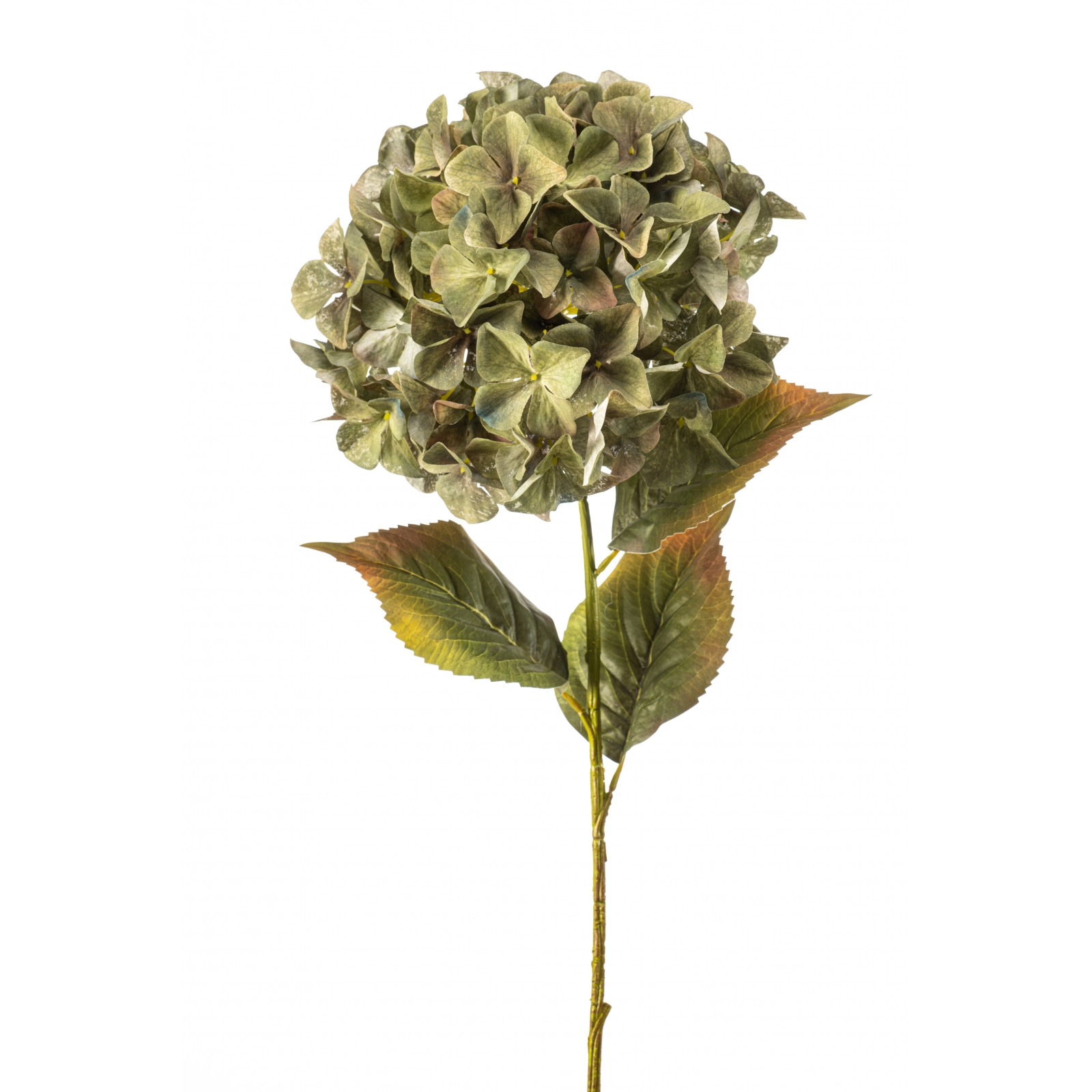Woonexpress Hydrangea