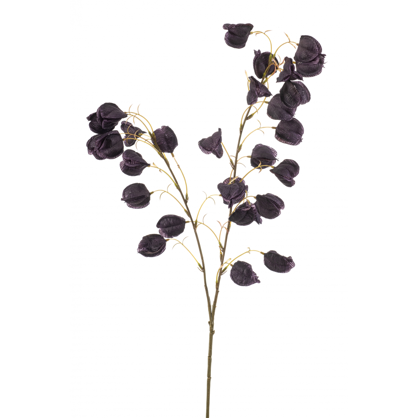 Woonexpress Physalis