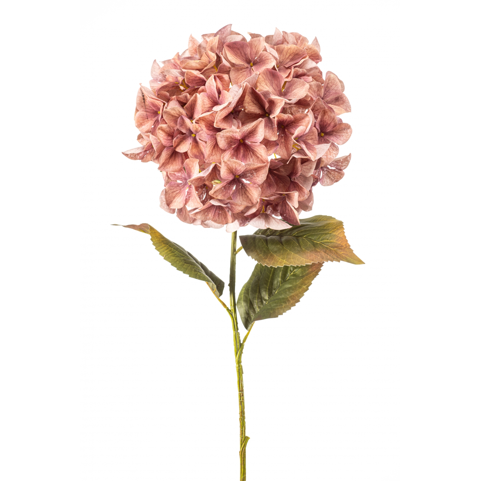 Woonexpress Hydrangea