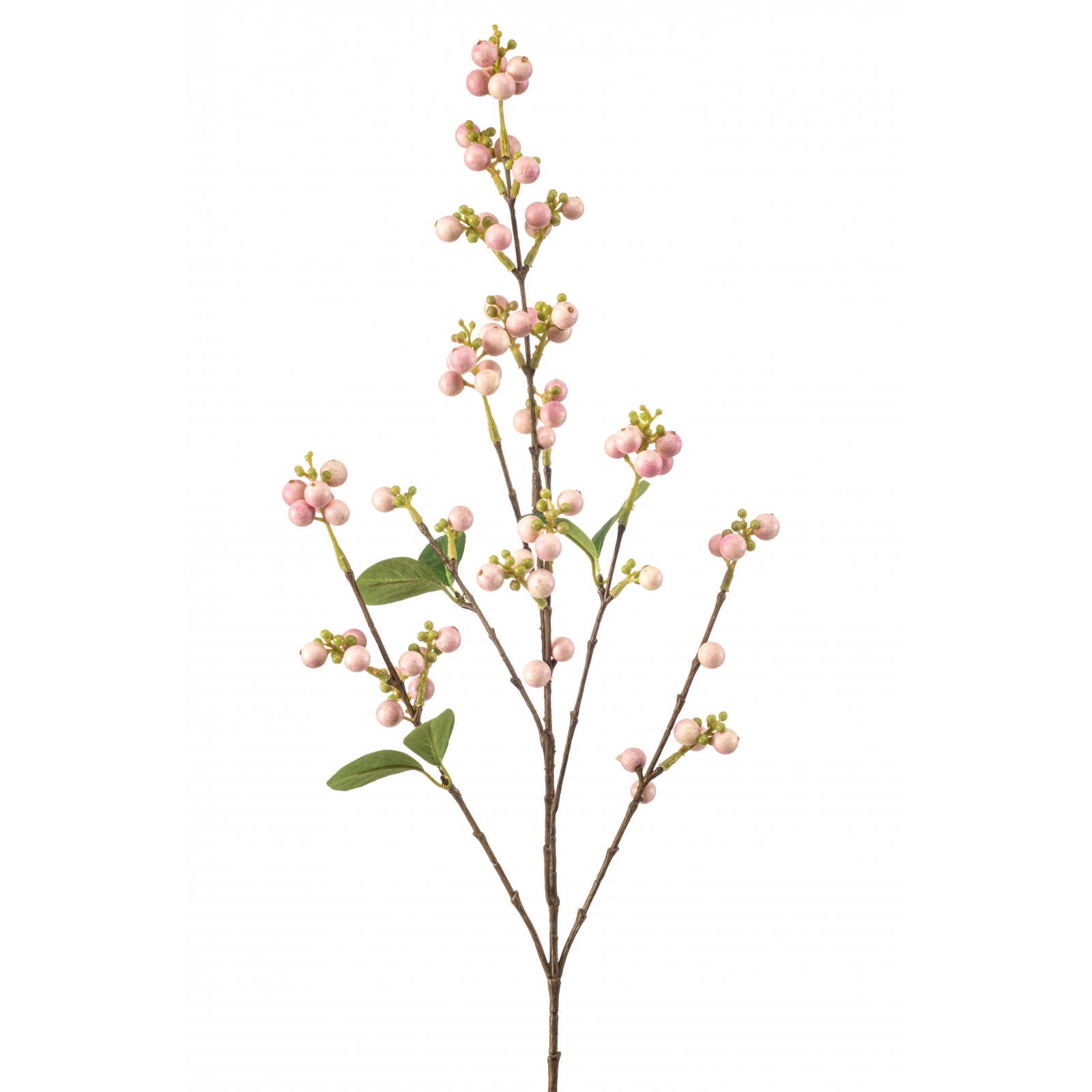 Woonexpress Snowberry