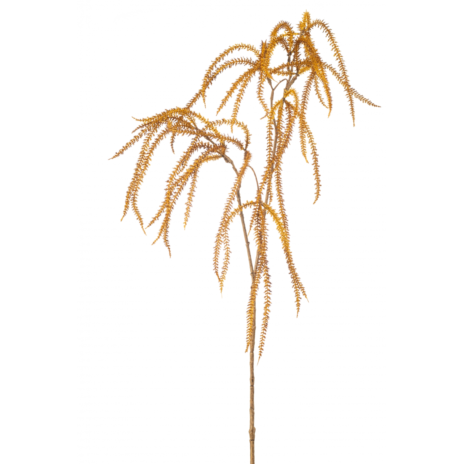 Woonexpress Amaranthus