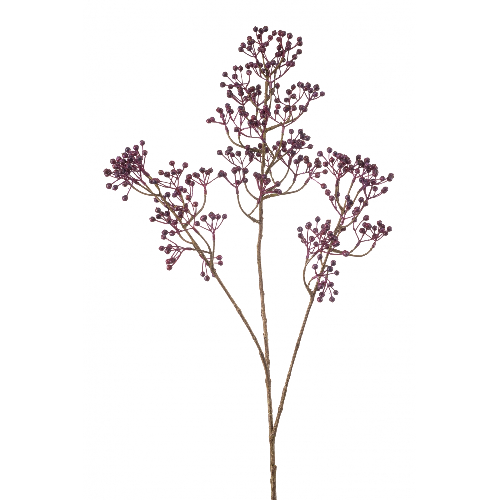 Woonexpress Rosehip