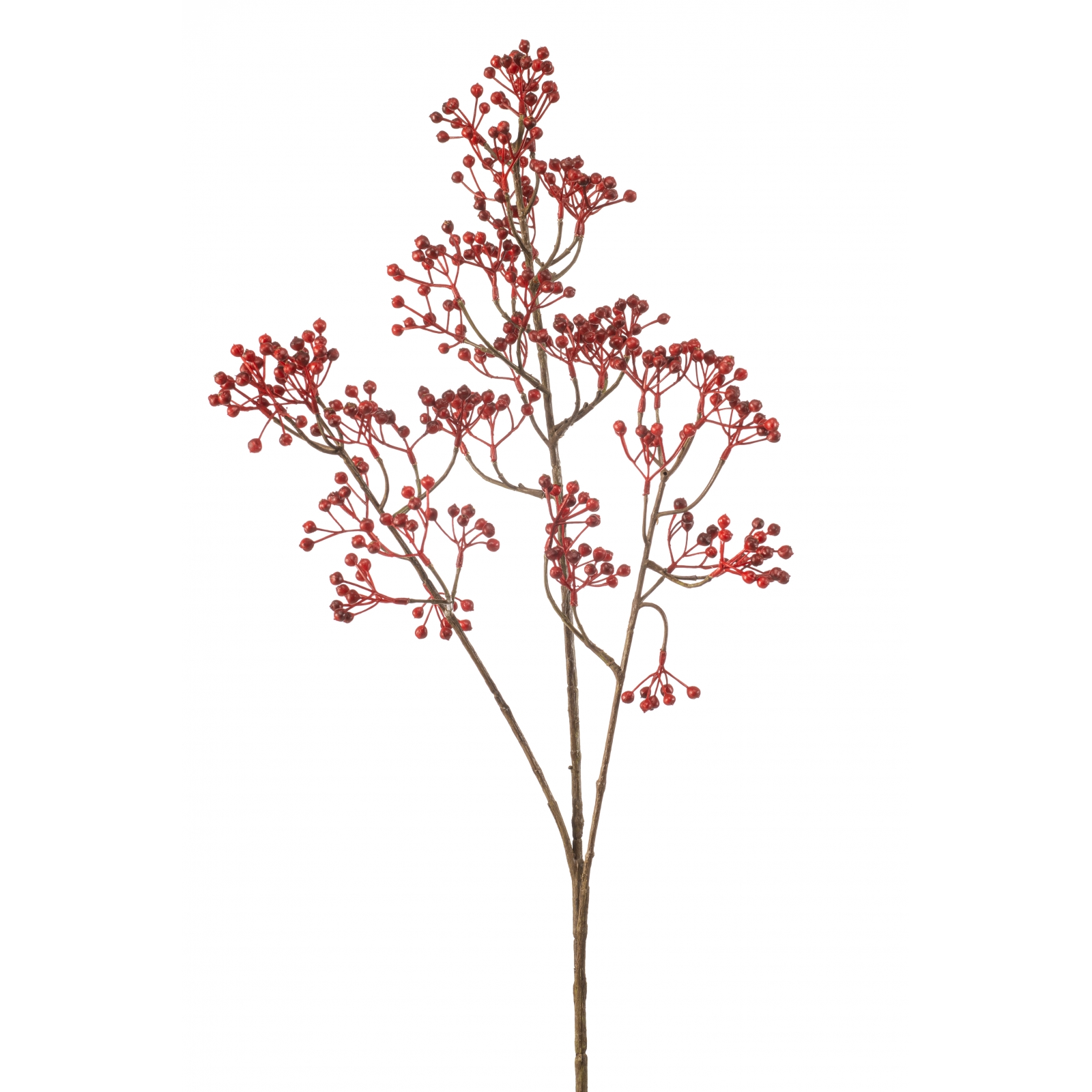 Woonexpress Rosehip