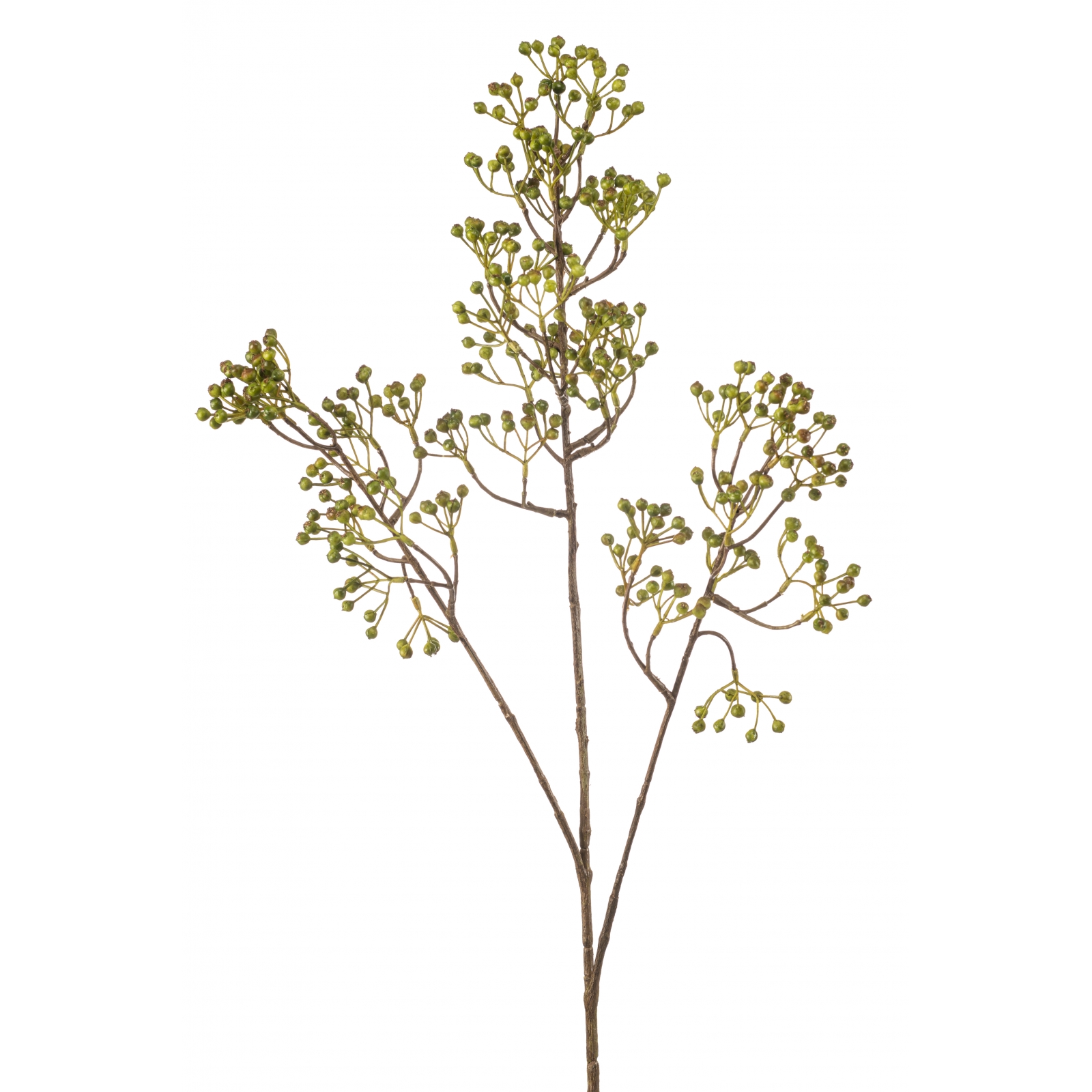 Woonexpress Rosehip
