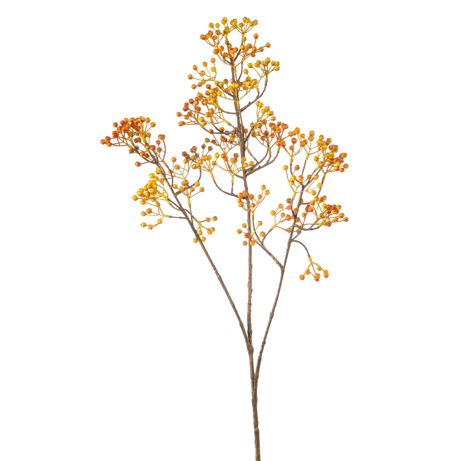 Woonexpress Rosehip