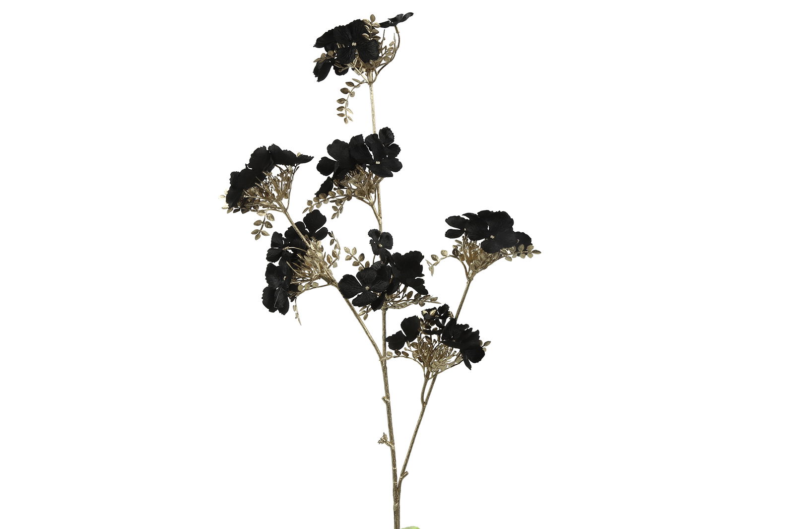 Countryfield Hydrangea S zwart - 