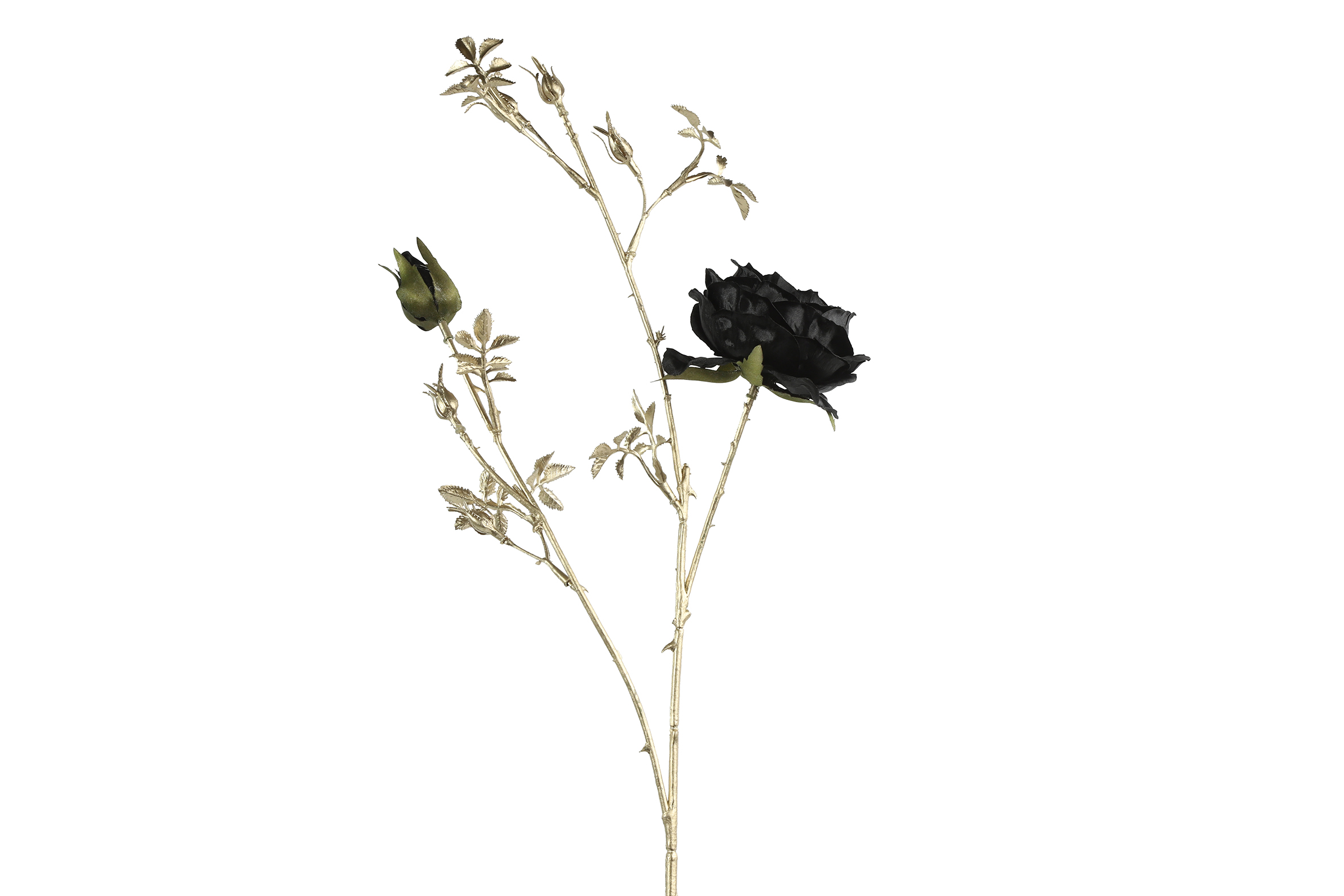 Countryfield Rosa S zwart - 