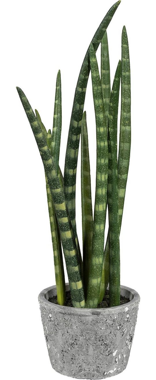 Creativ green Kunstplant Sanseveria (1 stuk)