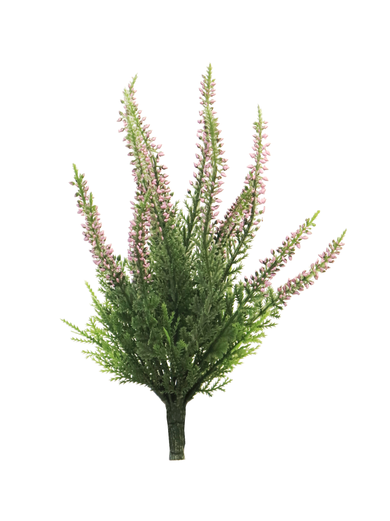 Nova nature Erica bush new pink x15 24 cm - 