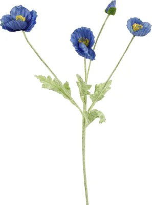 Countryfield Cosmeasteel l61b10h10 cm d.blauw - 