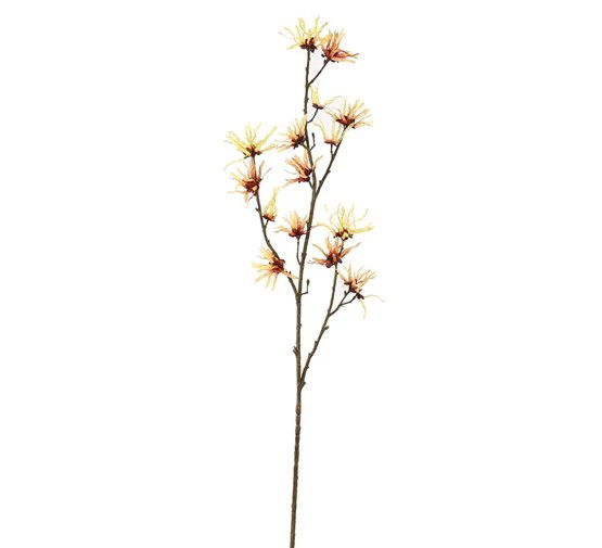 Pure royal Toverhazelaartak l98 cm geel - 