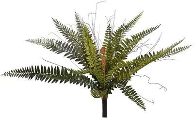 Pure royal Boston varen h43 cm groen - 