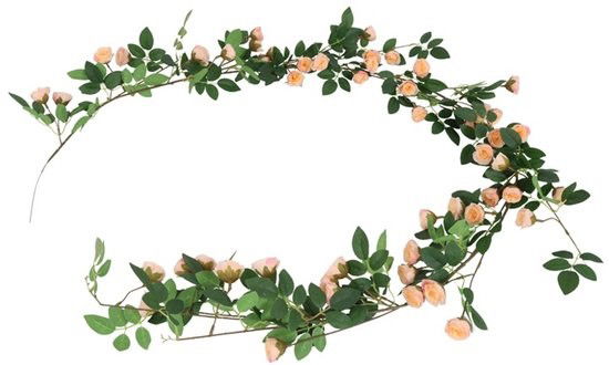 Countryfield Rosa bonica 10x10x180 cm brn - 