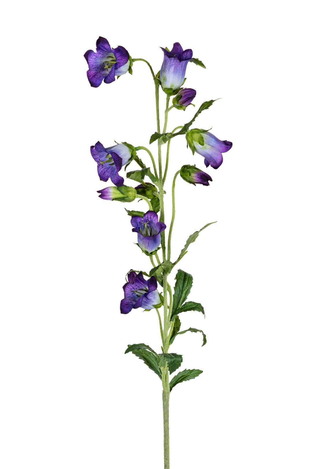 Louis maes Campanula l87cm paars kunstbloem  - 