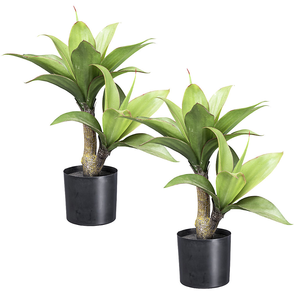 Agave, kunststofpot, VE = 2 stuks, hoogte 450 mm