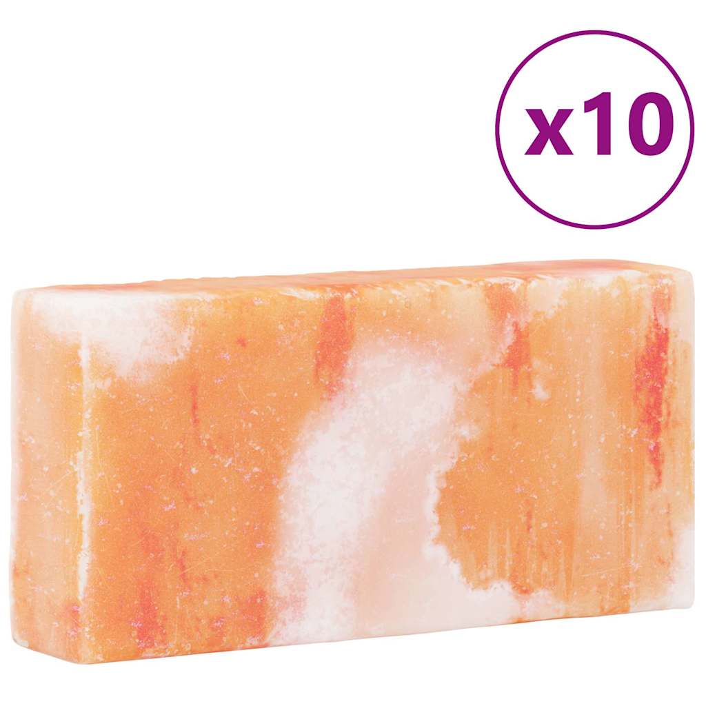 vidaXL Zoutstenen 10 st 20x10x5 cm 23 kg roze