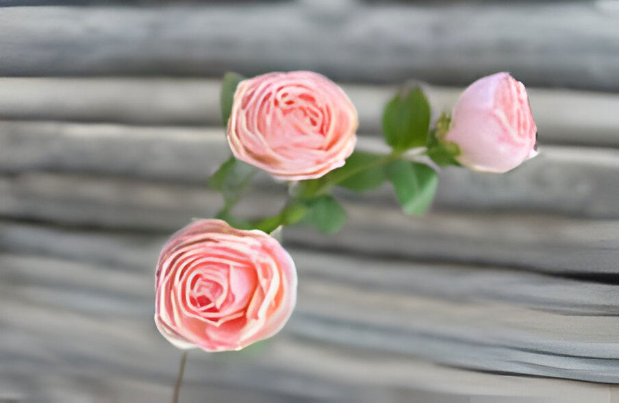 Buitengewoon de boet Roze 3 knopen roze - 