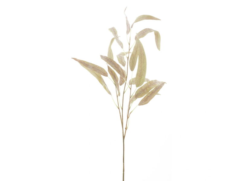 Hortus Kunsttak eucalyptus brown, 74 cm - 