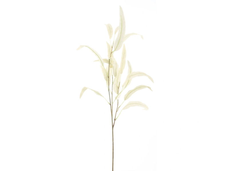 Hortus Kunsttak eucalyptus cream, 74 cm - 