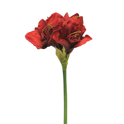 Nova nature Hippeastrum Aline red 63 cm kunstbloem - 