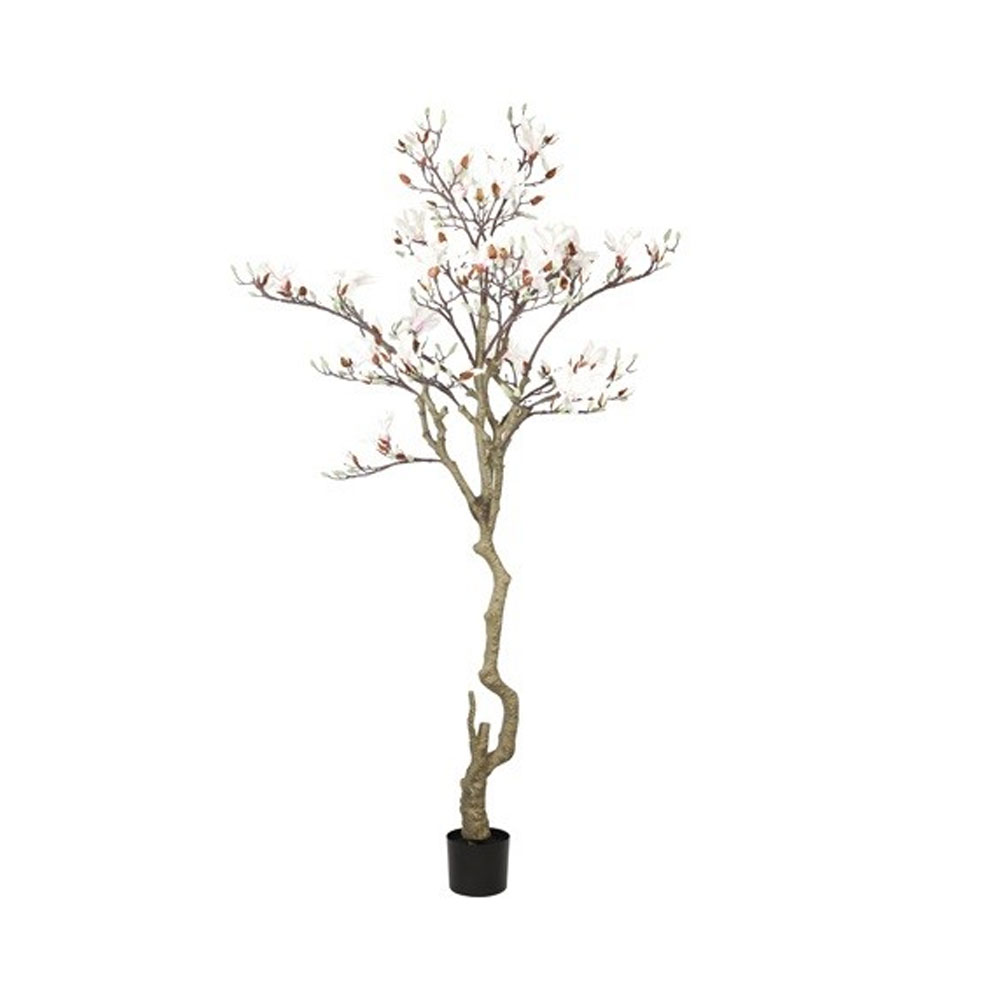 Countrylifestyle Kunstplant Magnolia wit L