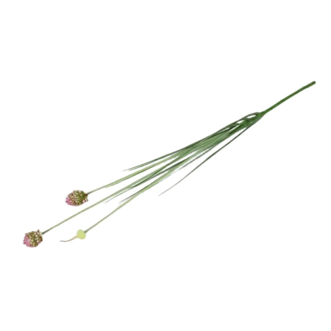 Countryfield Alliumsteel cepa l10b10h87 cm roze - 