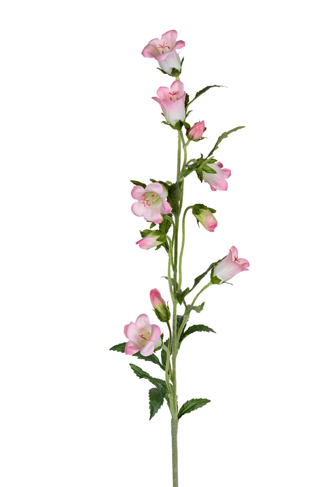 Louis maes Campanula l87cm roze kunstbloem  - 