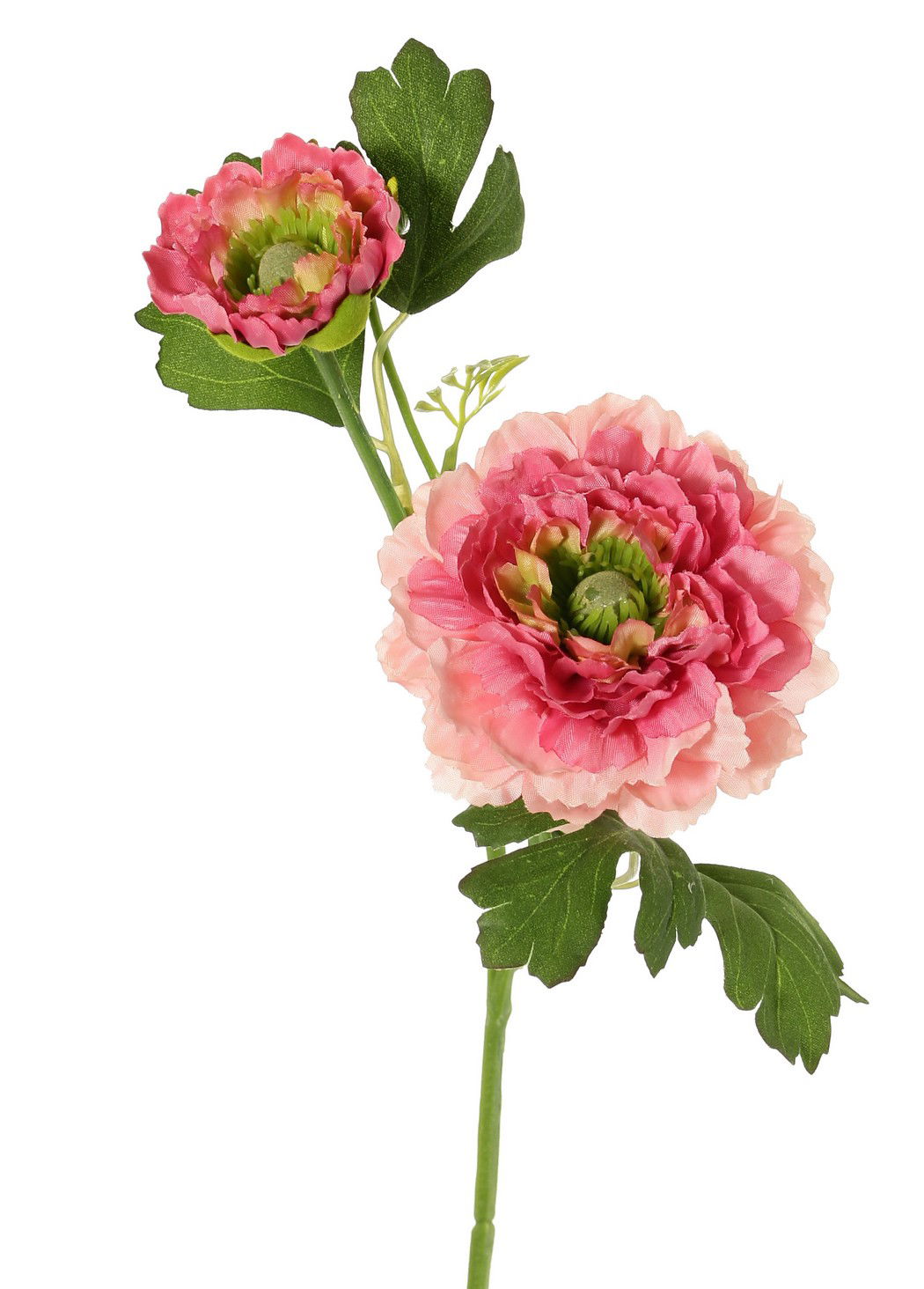 Driesprong collection Ranonkel, 2x vertakt met bloemen knop d.roze kunstbloem zijde nepbloem - 