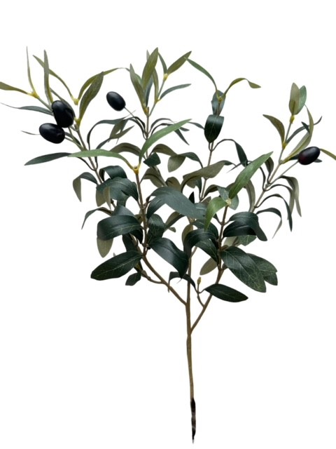 Roberts Collection Kunsttak Olijftak 70cm met olijven