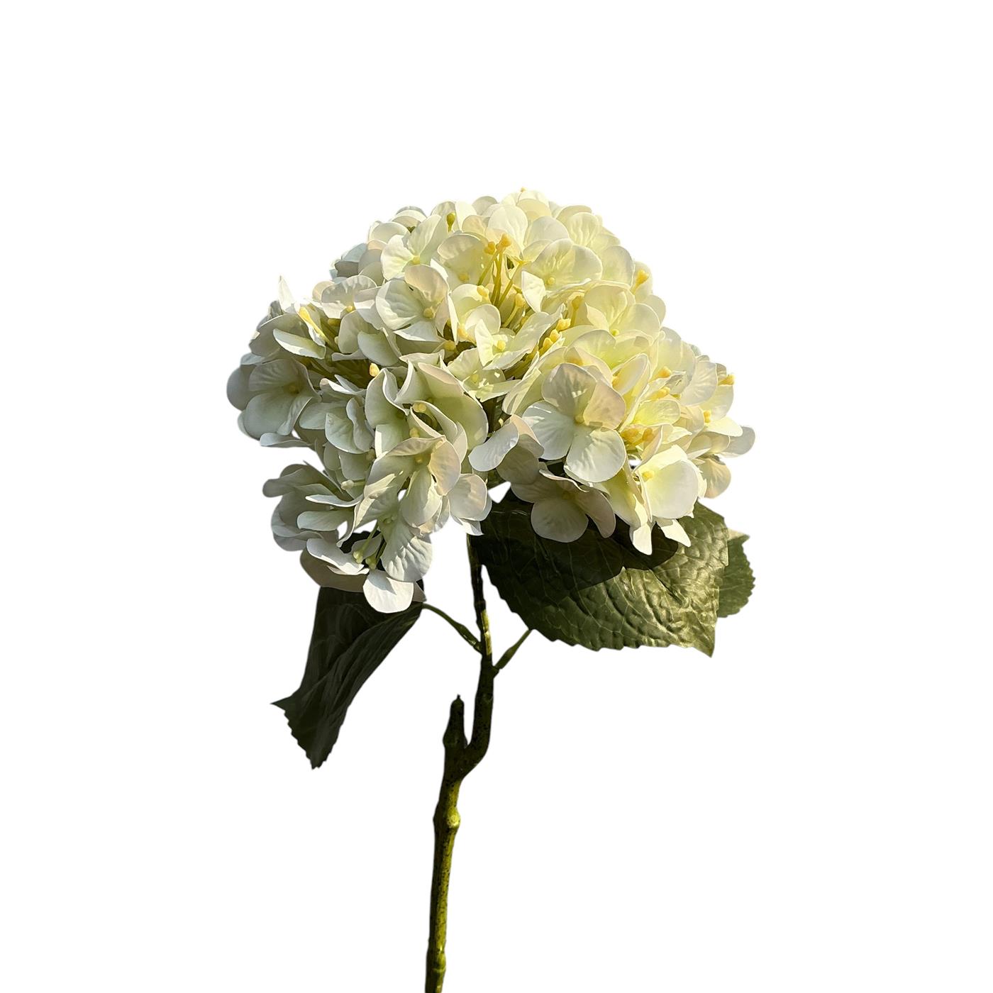 Roberts Collection Hortensia real touch 75cm creme