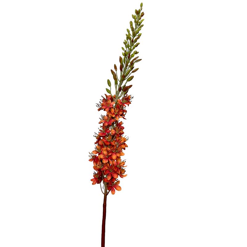 Roberts Collection Kunstbloem Eremurus 106cm oranje
