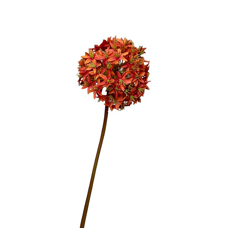 Roberts Collection Kunstbloem Allium bol 60cm oranje