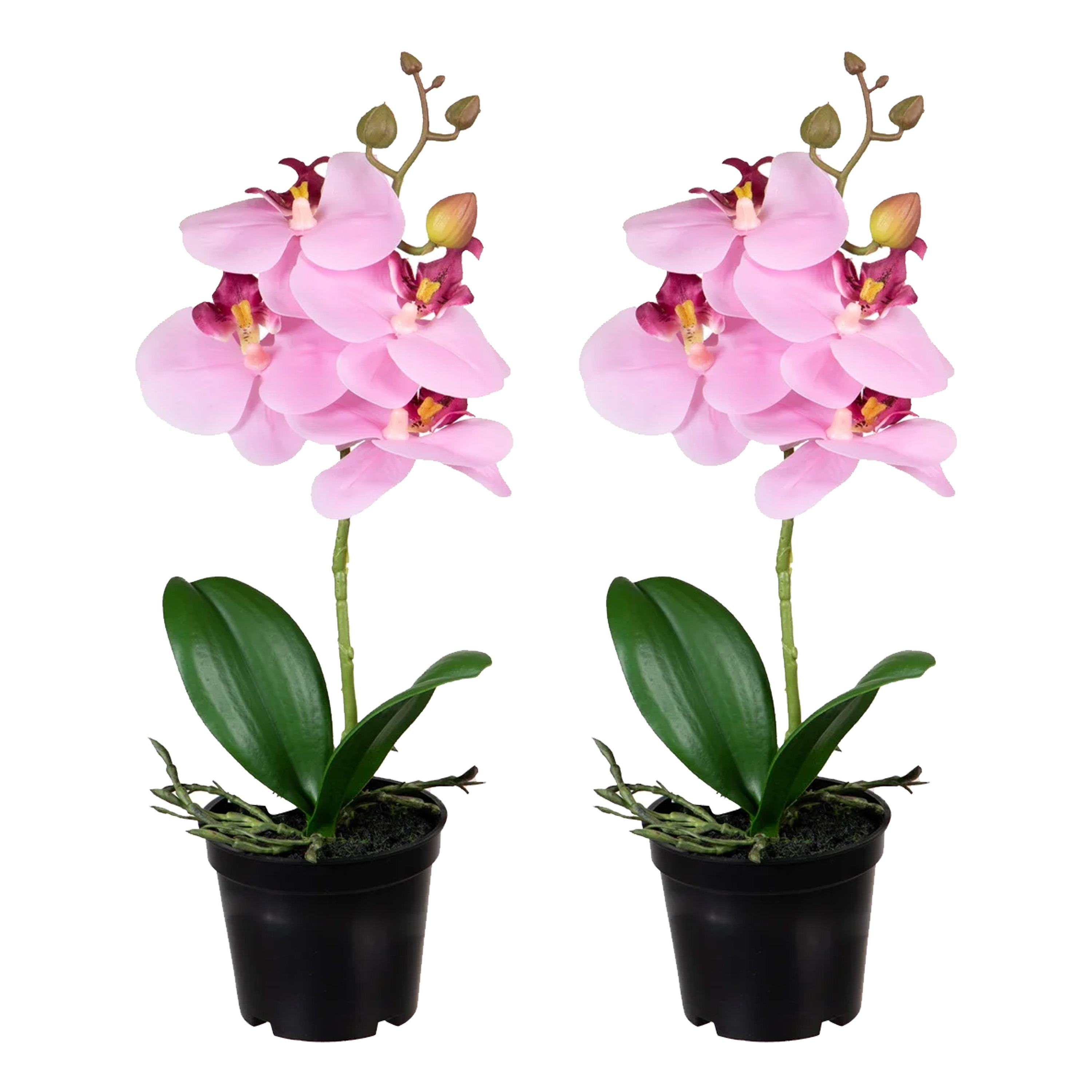 Louis Maes Orchidee bloemen kunstplant op plug - 2x - bloemen/bloemetjes - roze/groen - H33 cm -