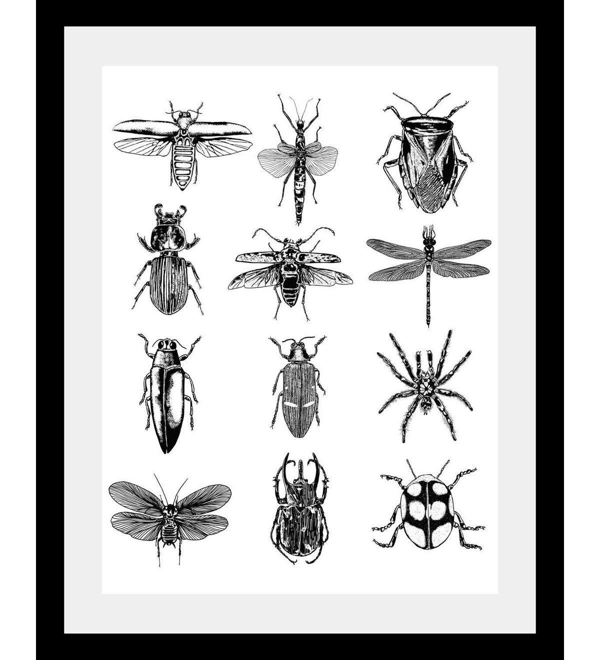 Queence Wanddecoratie Insecten HD premium posterdruk incl. houten lijst