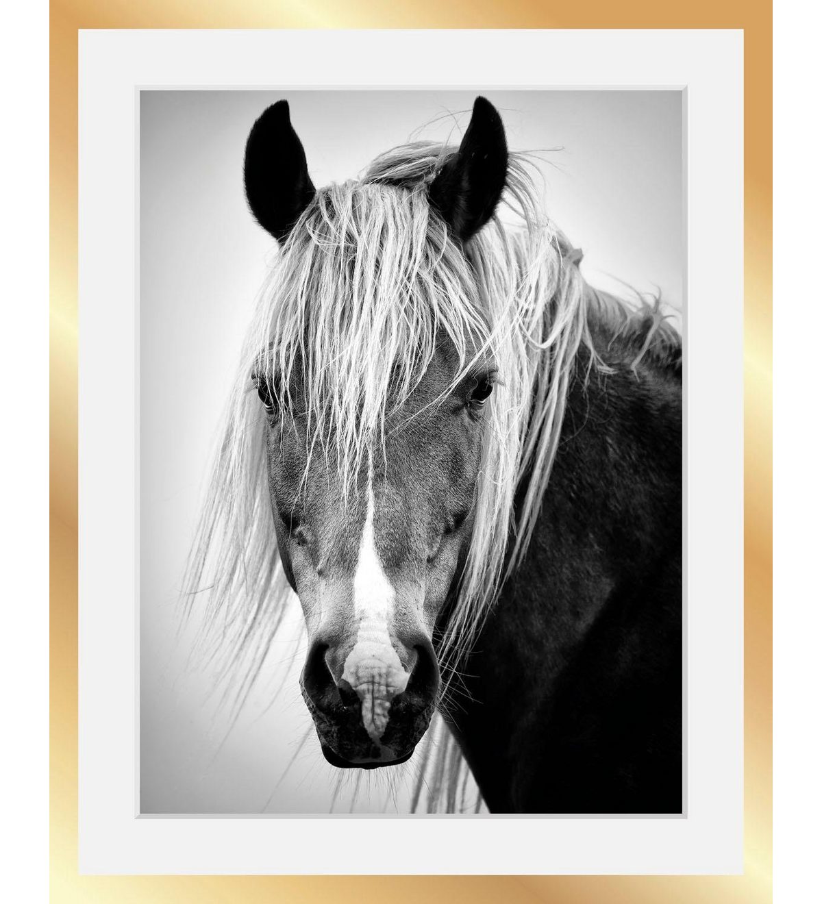 Queence Wanddecoratie Paardenkop HD premium posterdruk incl. houten lijst in zwart