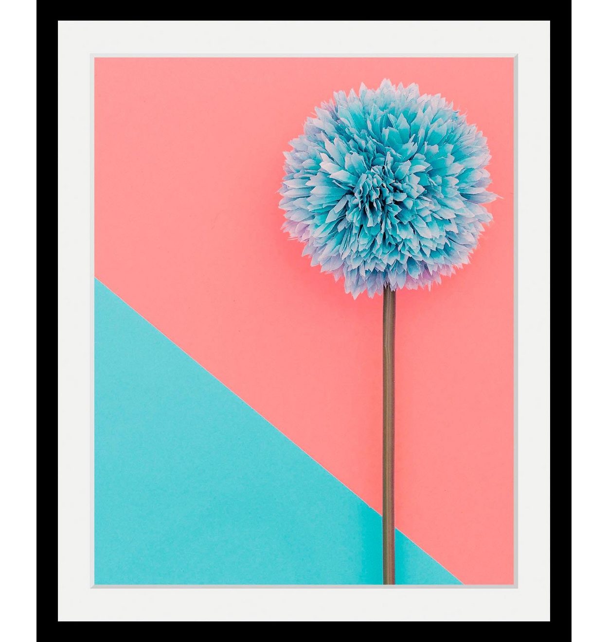 Queence Wanddecoratie Pluizenbol HD premium posterdruk incl. houten lijst