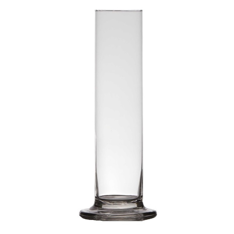 Merkloos Vaas - transparant - 30 x 6 cm - glas - Valentijn vaas roos - voor binnen -