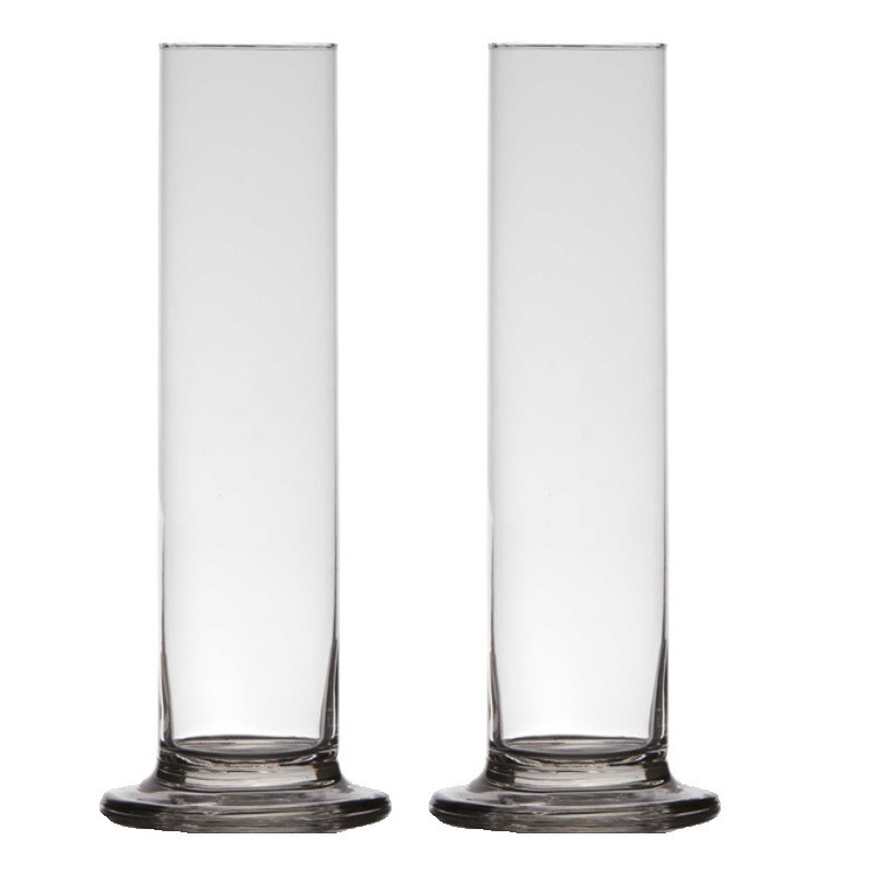 Merkloos Vaas - 2x stuks - transparant - 30 x 6 cm - glas - Valentijn vaas roos - voor binnen -