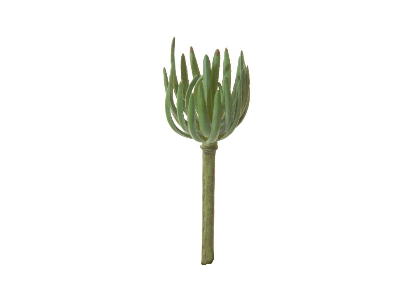 Louis maes Agave l21 cm groen zijde nepbloem - 