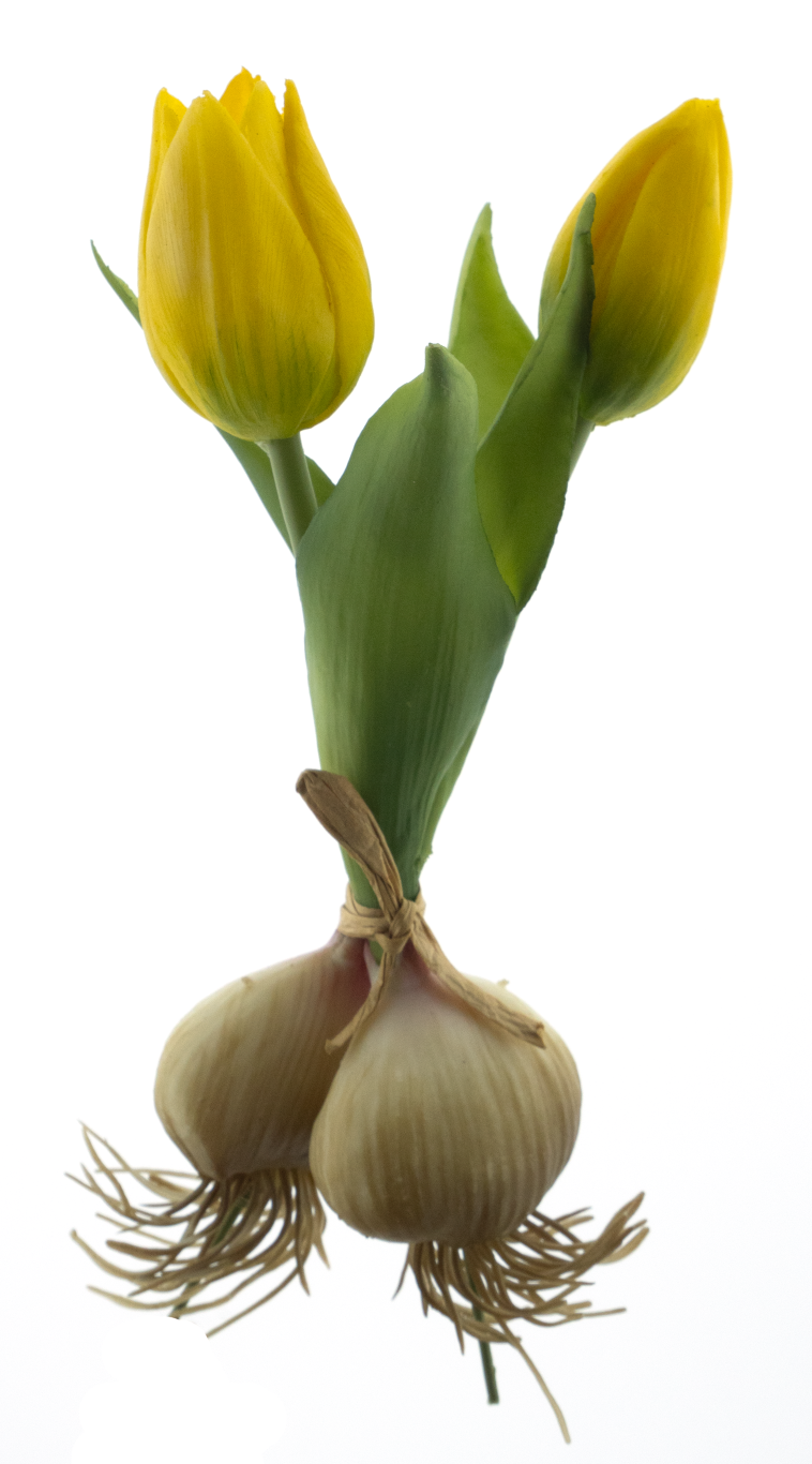Nova nature PSO Holland tulip Sally w/bulb yellow 18 cm kunstbloem - 