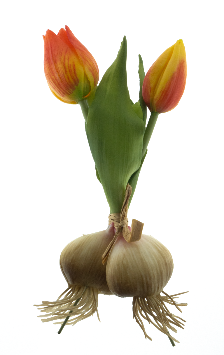 Nova nature PSO Holland tulip Sally w/bulb orange 18 cm kunstbloem - 