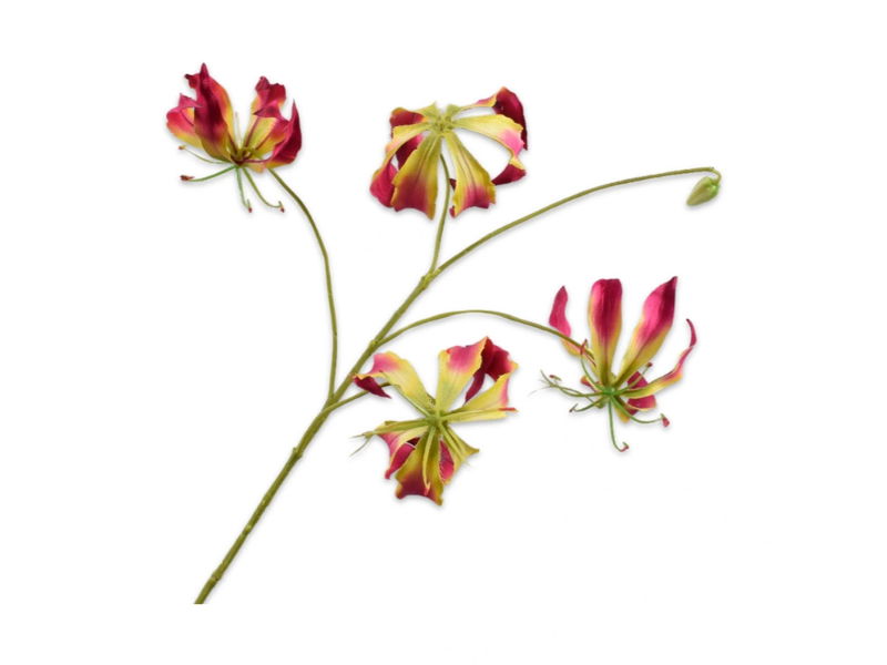 Silkka Gloriosasteel l89 cm beauty - 