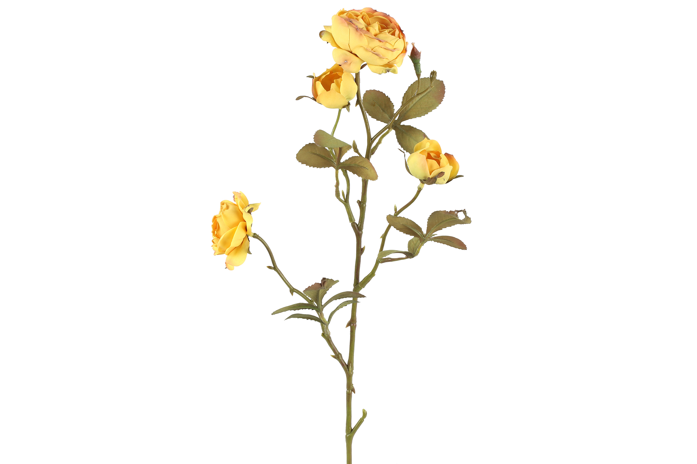 Countryfield Rosa geel - 