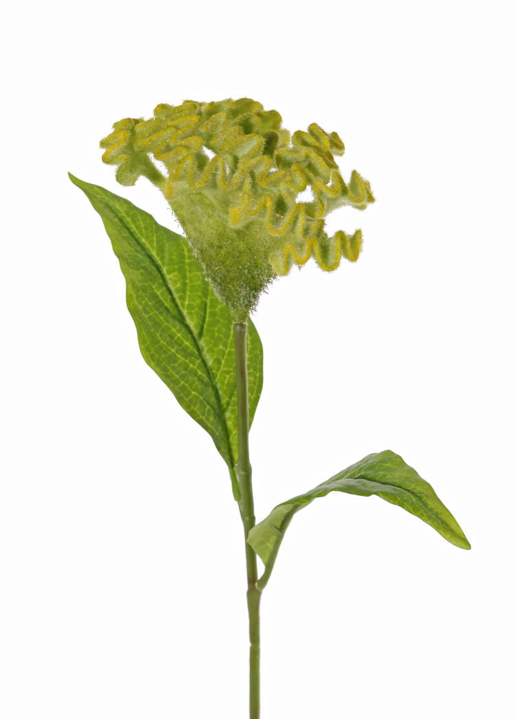 Driesprong collection Celosia argentea 'cristata' hanenkam h60 cm kunstbloem zijde nepbloem - 