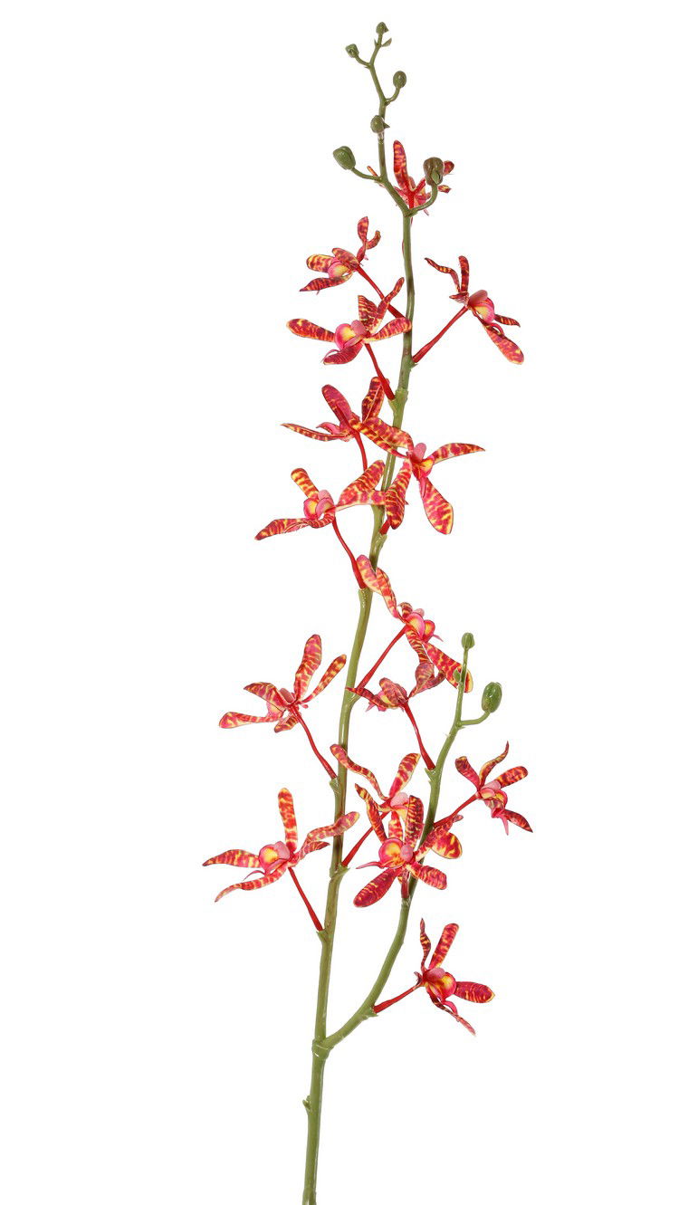 Driesprong collection Cattleya orchidee 82 cm kunstbloem zijde nepbloem III - 