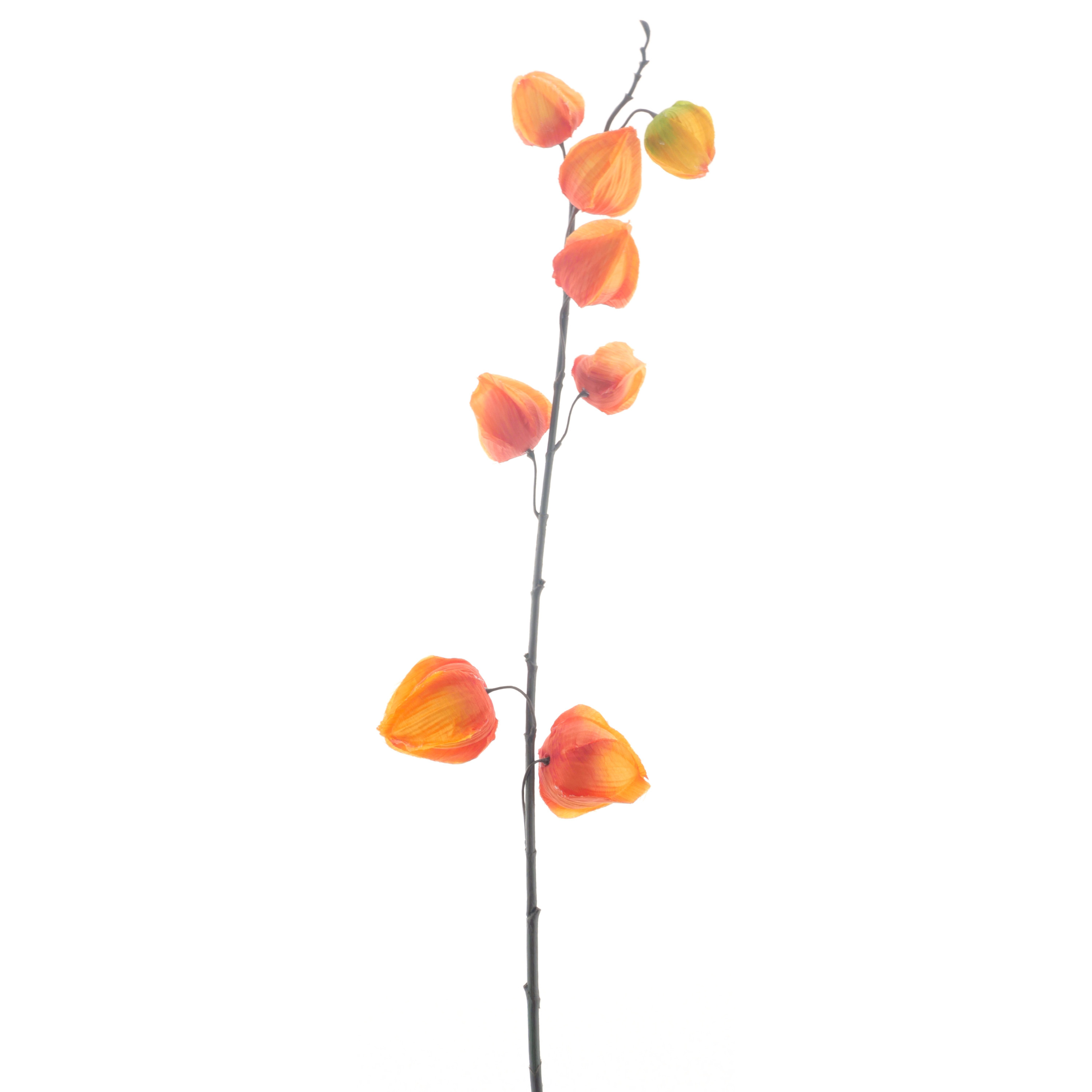 Bellatio Design Kunstbloem Lampionplant/physalis tak - 73 cm - oranje - zijde bloemen - Kunst herfst takken -