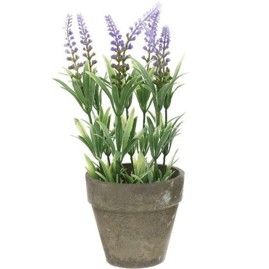 Bellatio flowers & plants Bellatio Lavendel kunstplant - lila - 25 cm - in betonlook potje - Kunstplanten - nepplanten -